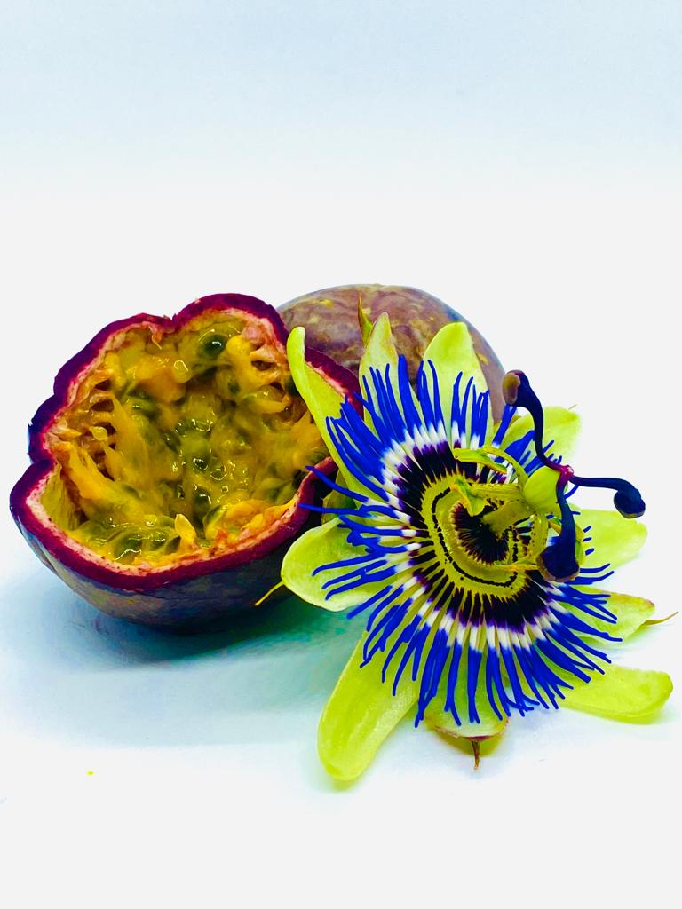 The Sun - Passionfruit and Martini