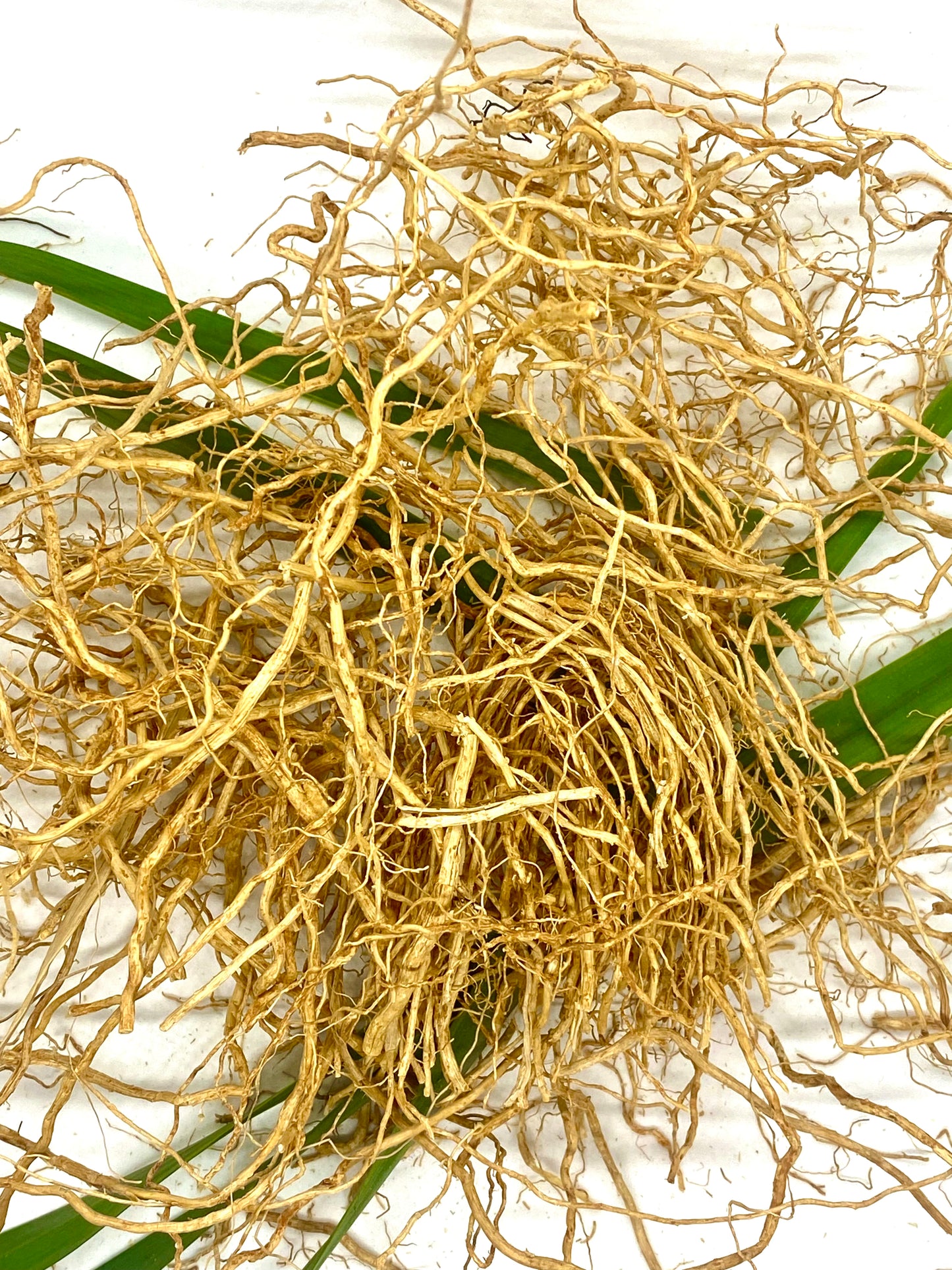 Vetiver Noir