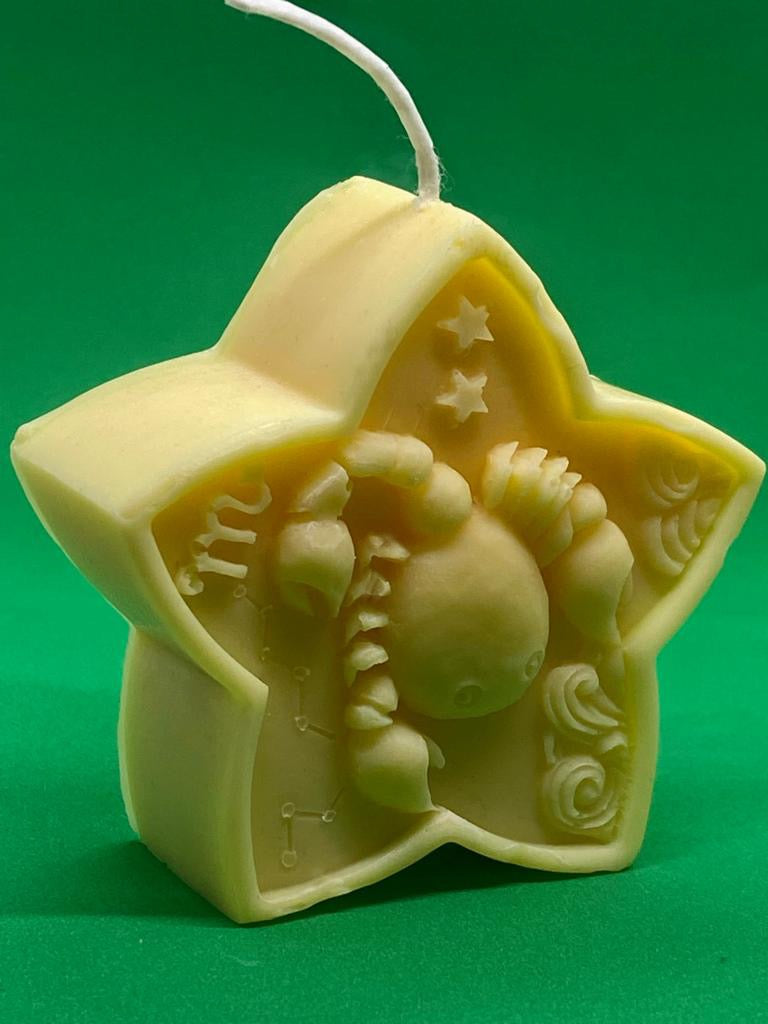 Scorpio Star Zodiac
