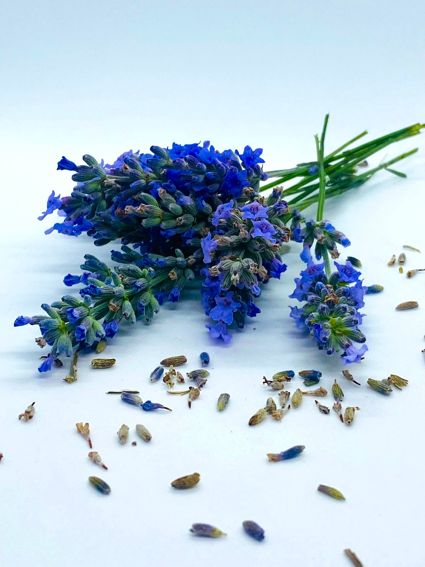 Lavender Noir