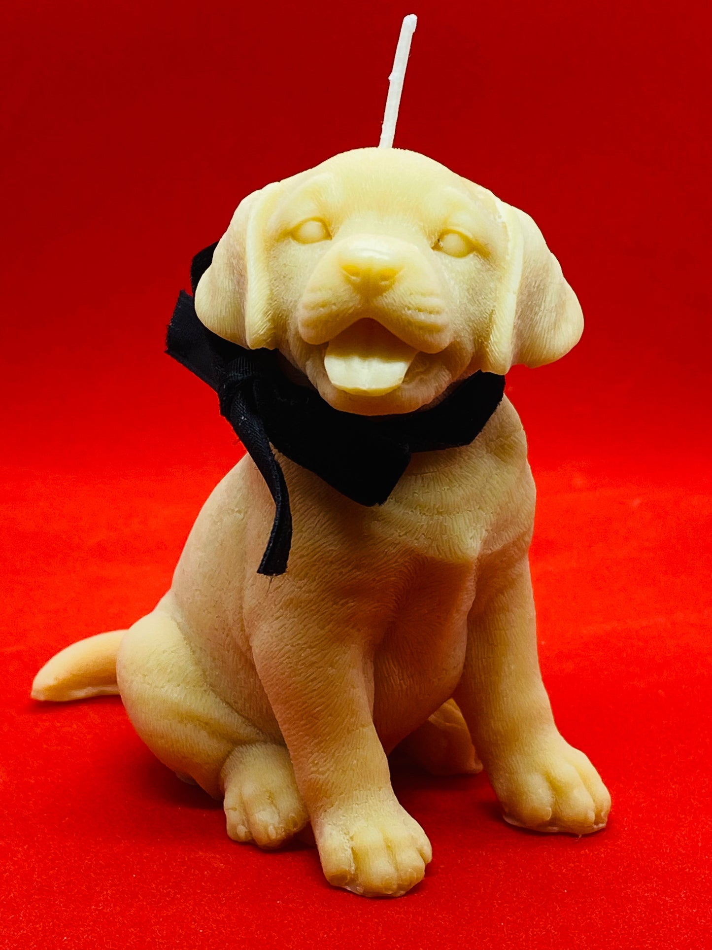 Ben - The dog.