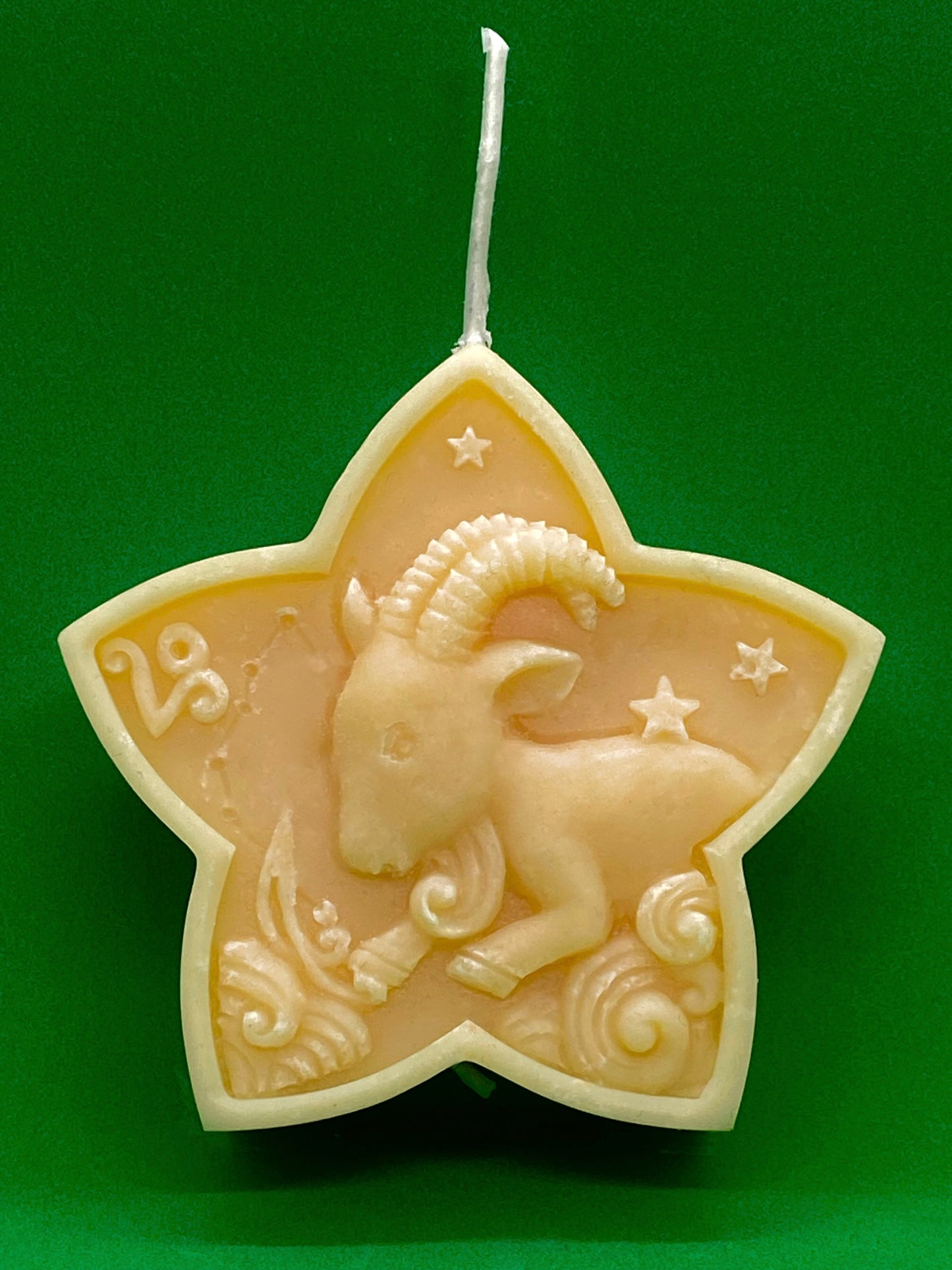 Capricorn Star Zodiac