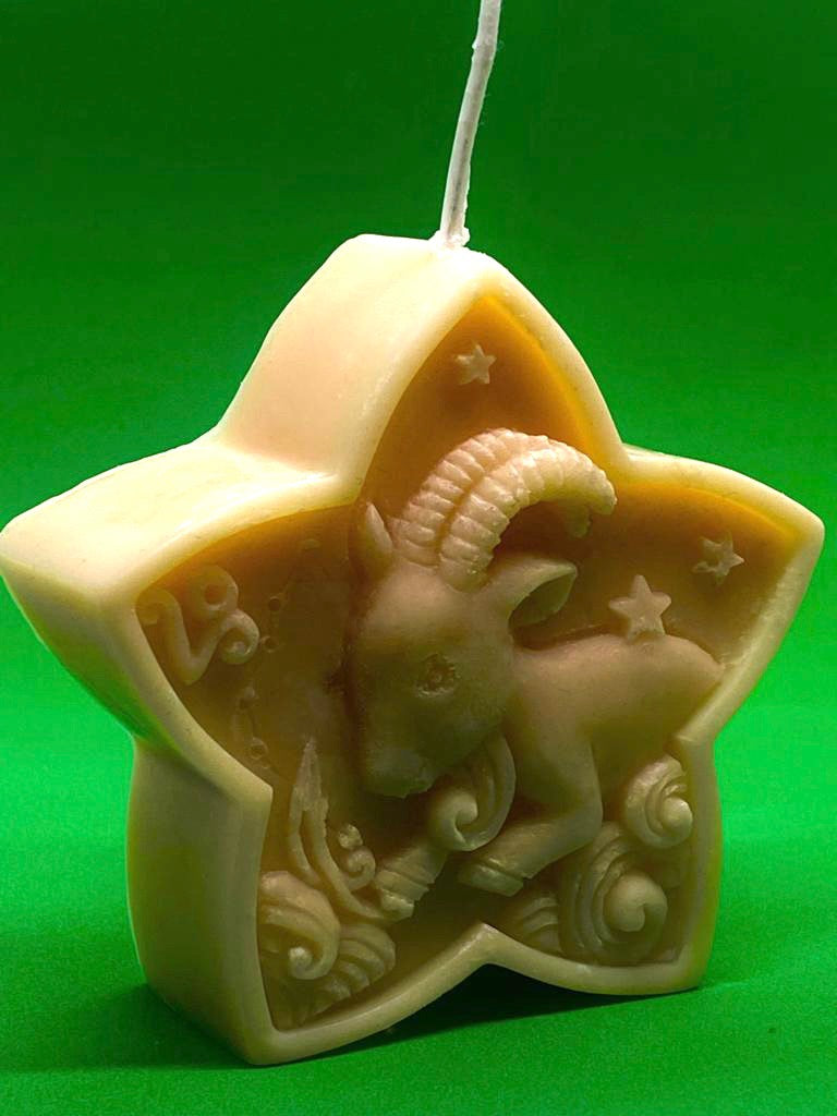 Capricorn Star Zodiac