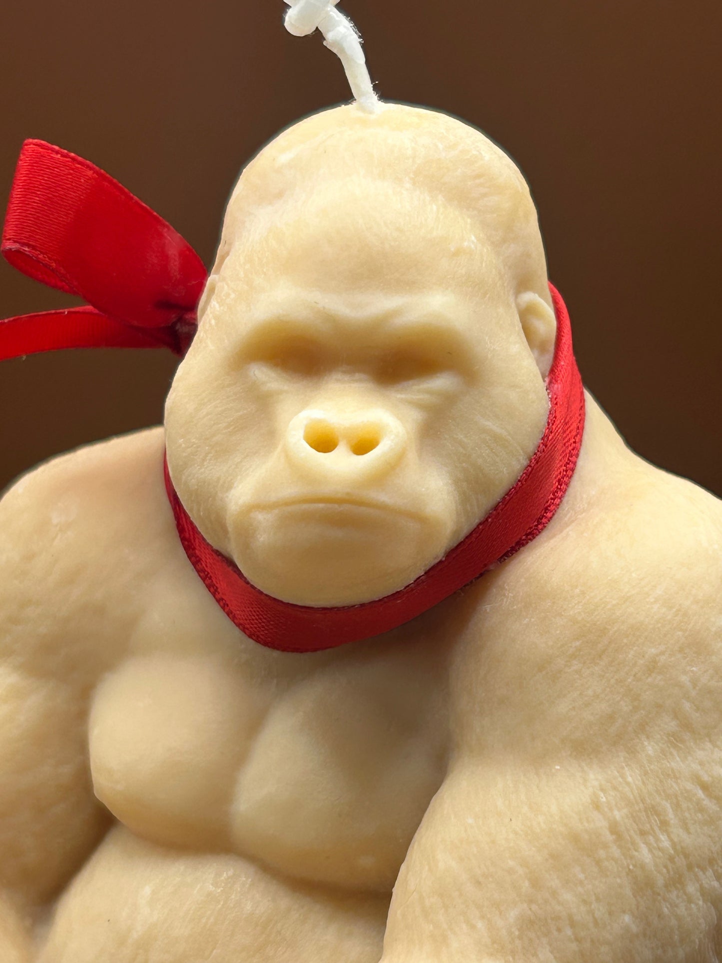 Oscar - The Charming Gorilla.