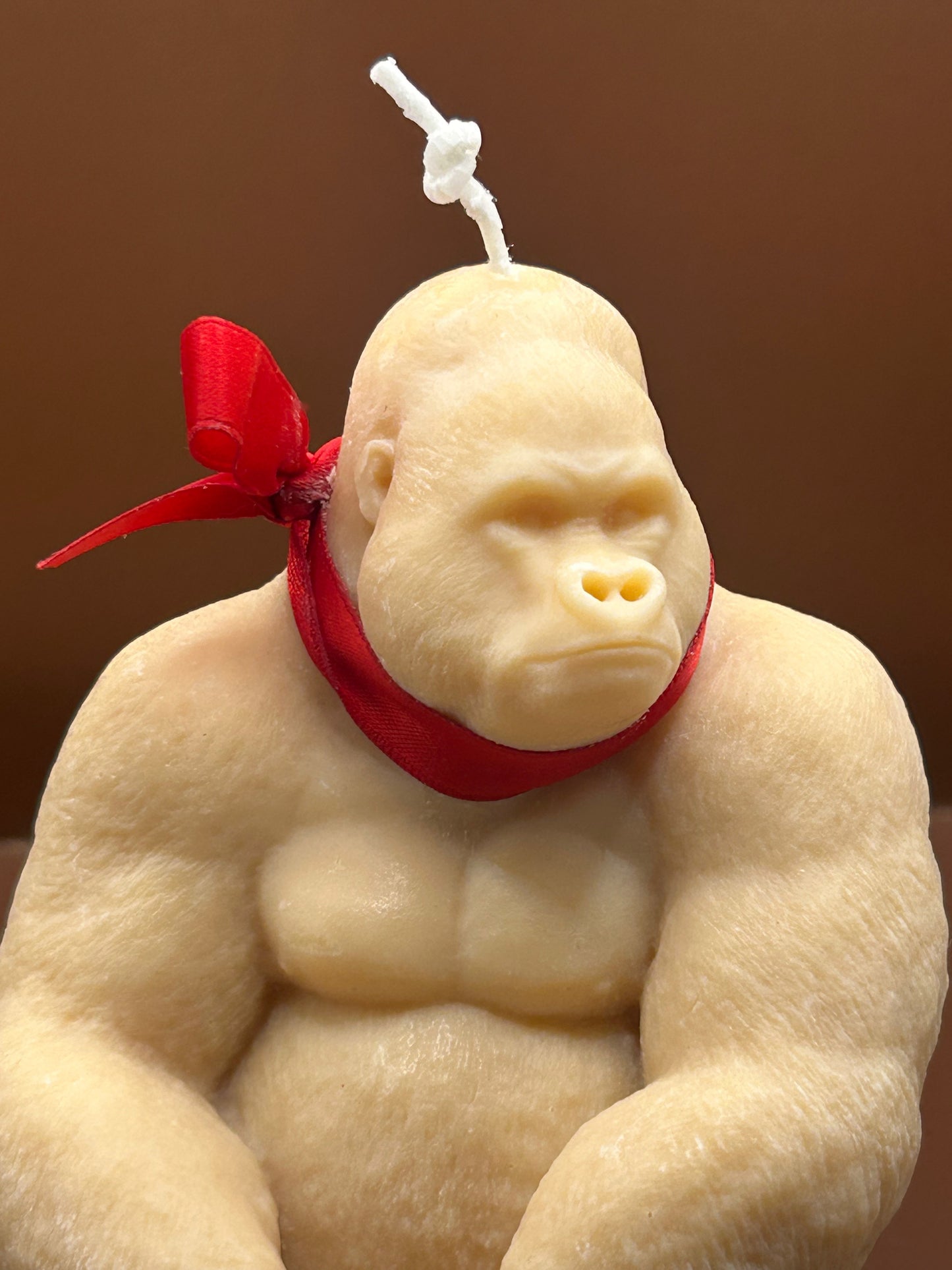 Oscar - The Charming Gorilla.